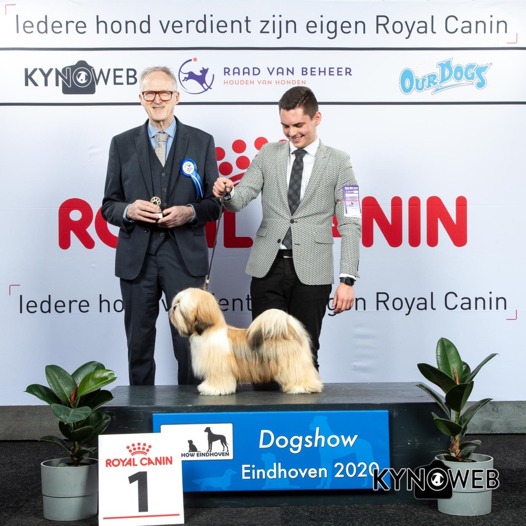 P_1_LR_DOGSHOW_EINDHOVEN_2020_KYNOWEB_KY3_2713_20200209_15_08_41