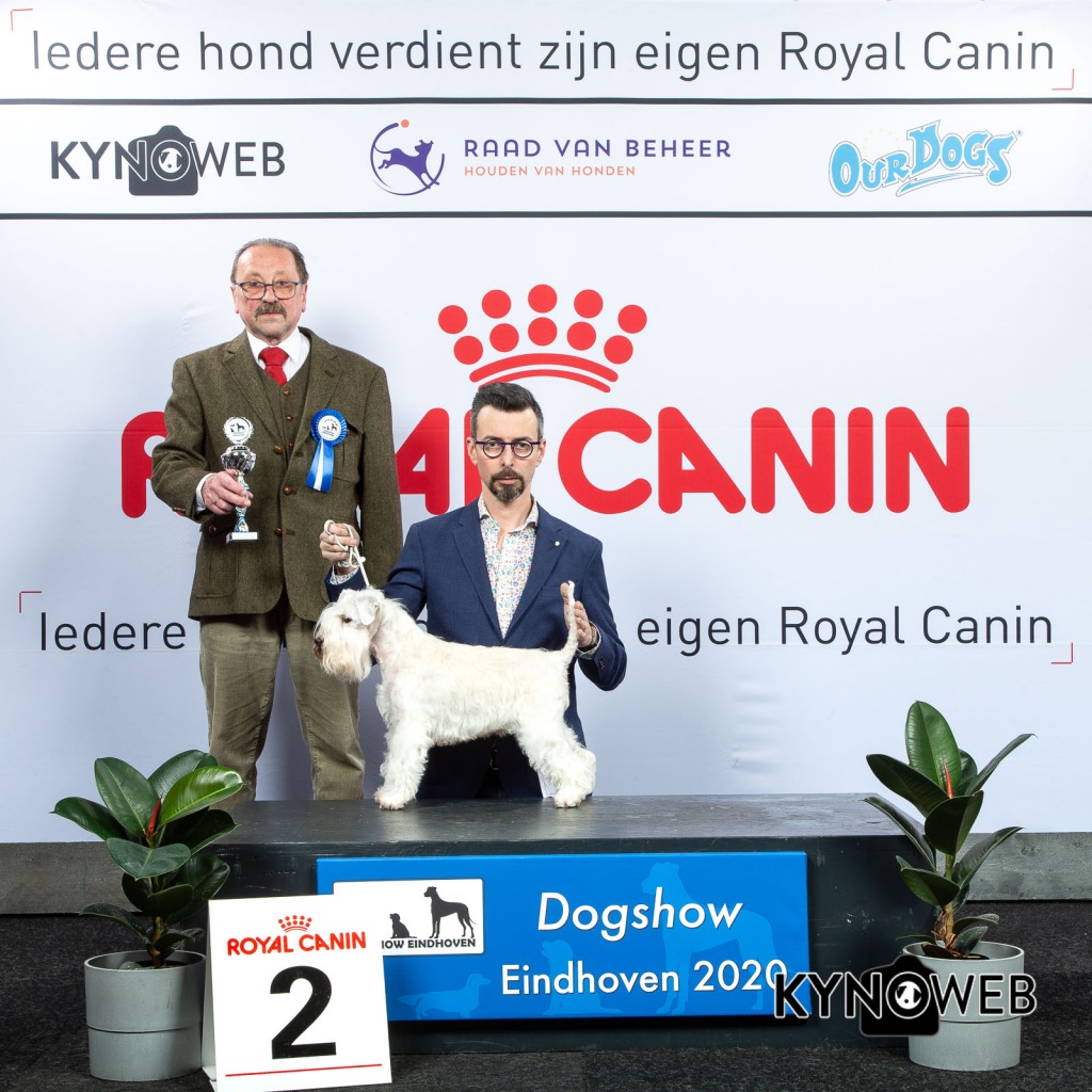 V_2_LR_DOGSHOW_EINDHOVEN_2020_KYNOWEB_KY3_2738_20200209_15_18_34
