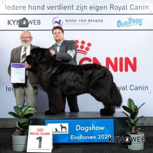 GROUP_2_1_LR_DOGSHOW_EINDHOVEN_2020_KYNOWEB_KY3_2826_20200209_16_37_13