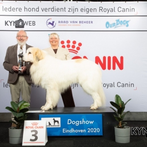 GROUP_2_3_LR_DOGSHOW_EINDHOVEN_2020_KYNOWEB_KY3_2820_20200209_16_15_28