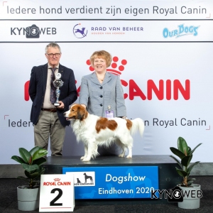 GROUP_8_2_LR_DOGSHOW_EINDHOVEN_2020_KYNOWEB_KY3_2779_20200209_15_48_18