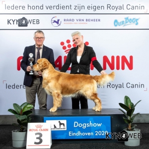 GROUP_8_3_LR_DOGSHOW_EINDHOVEN_2020_KYNOWEB_KY3_2780_20200209_15_49_58