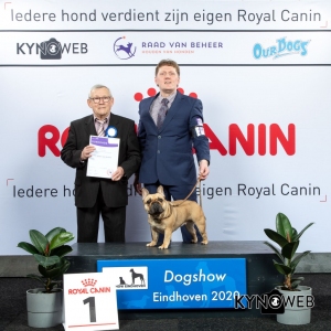 GROUP_9_1_LR_DOGSHOW_EINDHOVEN_2020_KYNOWEB_KY3_2793_20200209_15_56_34