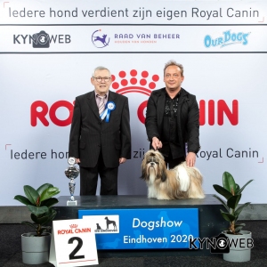 GROUP_9_2_LR_DOGSHOW_EINDHOVEN_2020_KYNOWEB_KY3_2796_20200209_15_57_36