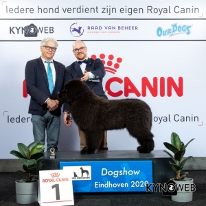 J_1_LR_DOGSHOW_EINDHOVEN_2020_KYNOWEB_KY3_2708_20200209_15_02_34
