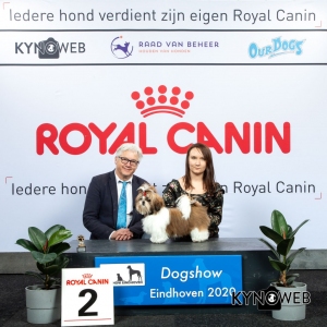 J_2_LR_DOGSHOW_EINDHOVEN_2020_KYNOWEB_KY3_2710_20200209_15_04_57