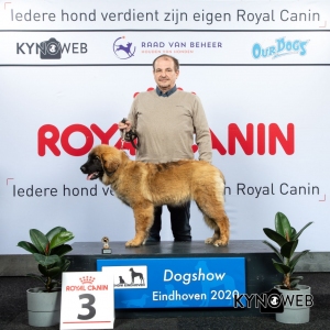 J_3_LR_DOGSHOW_EINDHOVEN_2020_KYNOWEB_KY3_2766_20200209_15_34_48