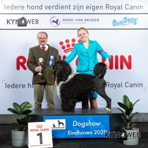 V_1_LR_DOGSHOW_EINDHOVEN_2020_KYNOWEB_KY3_2734_20200209_15_16_47