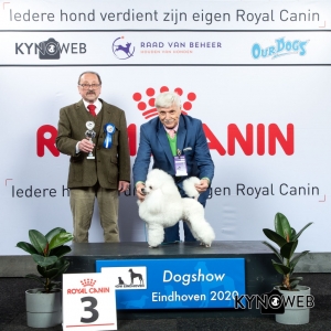 V_3_LR_DOGSHOW_EINDHOVEN_2020_KYNOWEB_KY3_2746_20200209_15_20_15