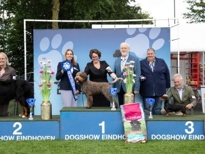 Programma erering